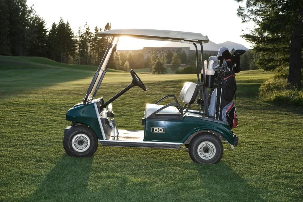 Professional Golf Cart Detailing