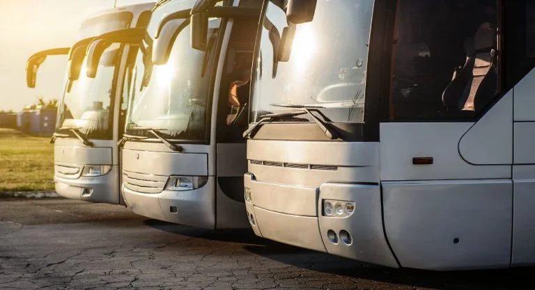 Bus Detailing