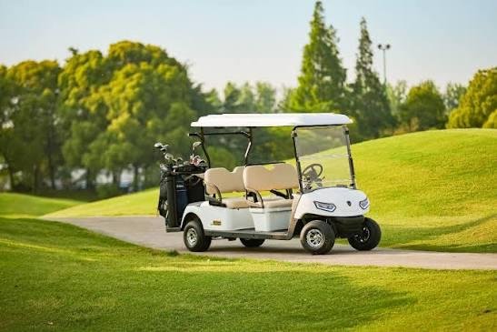 golf cart detailing Del Webb Nexton SC
